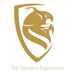 Logo for 